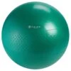 Gaiam Total Body Balance Ball Kits (55CM) -Swimming Equipment 5668992352424 2t