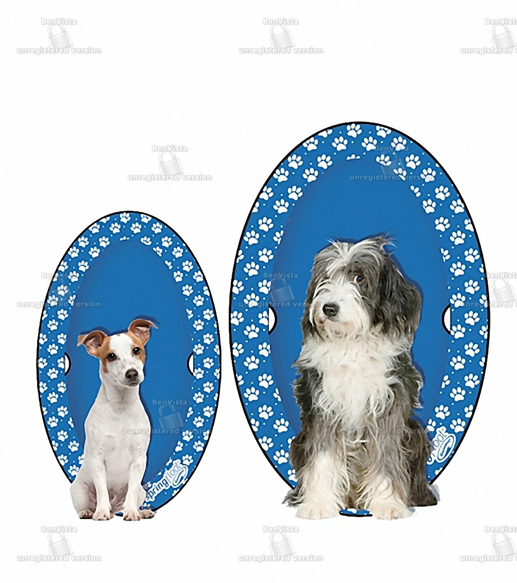 Dogs' Spring Float Paddle Paws (Large 65lbs+) 3 Dogs' Spring Float Paddle Paws (Large 65lbs+)