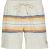 Quiksilver Men's 17" Resin Tint Swim Trunks -Swimming Equipment 7435060084904 antiquewhite 1a