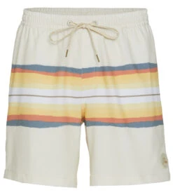 Quiksilver Men's 17" Resin Tint Swim Trunks