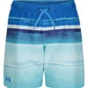Under Armour Boys' UA On The Horizon Volley Shorts (Little Kid, Big Kid) 2 Under Armour Boys' UA On The Horizon Volley Shorts (Little Kid, Big Kid) -Swimming Equipment 7647419433128 bluecircuit 1a