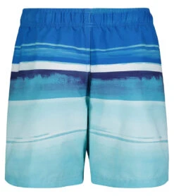 Under Armour Boys' UA On The Horizon Volley Shorts (Little Kid, Big Kid) -Swimming Equipment 7647419433128 bluecircuit 3a